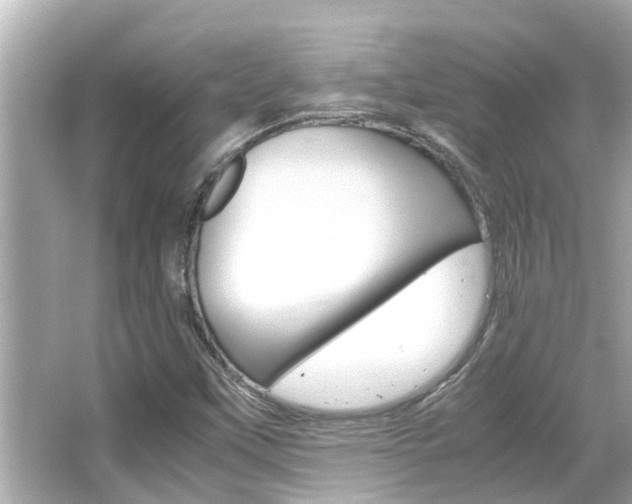 X0000066541451200603171043