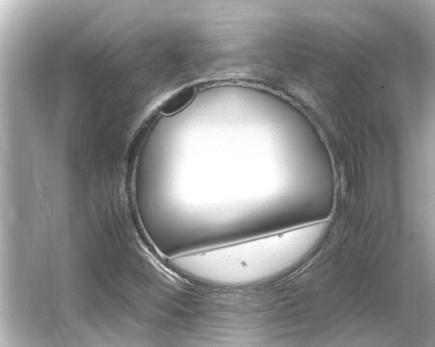 X0000066541452200603171043
