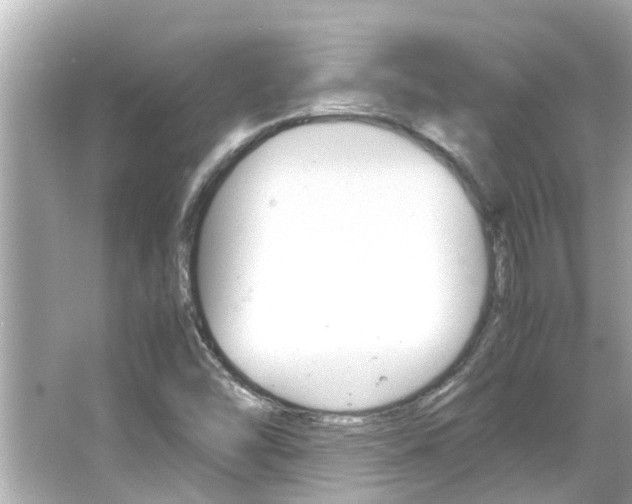 X0000066541454200603171043