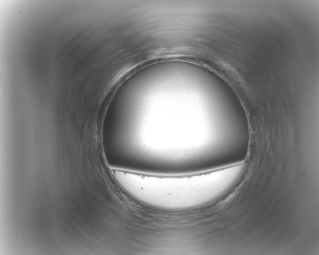 X0000066541457200603171043
