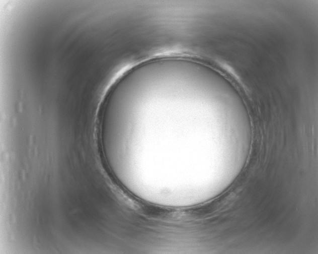 X0000066541463200603171042