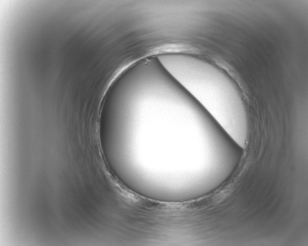 X0000066541473200603171042