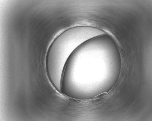 X0000066541477200603171042