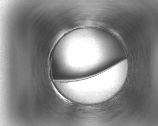 X0000066541479200603171042