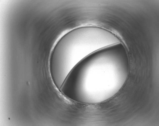 X0000066541480200603171042