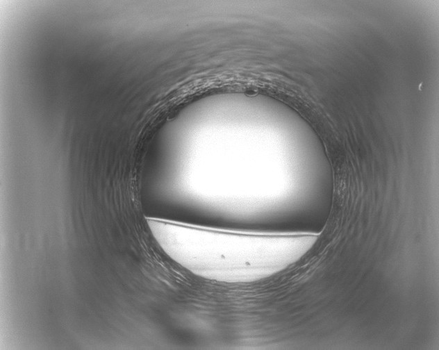 X0000066541490200603171041