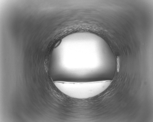 X0000066541491200603171041