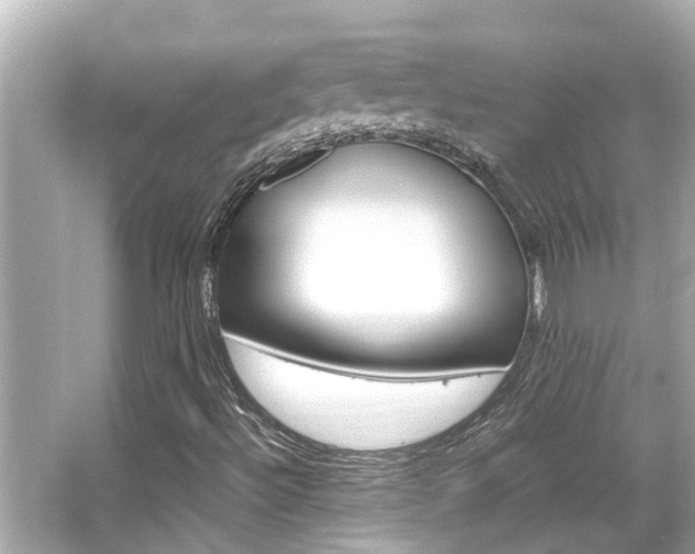 X0000066541492200603171041