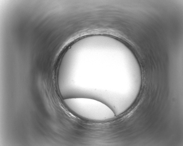 X0000066541498200603171041