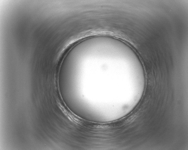 X0000066541499200603171041
