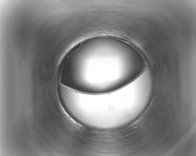 X0000066541500200603171041