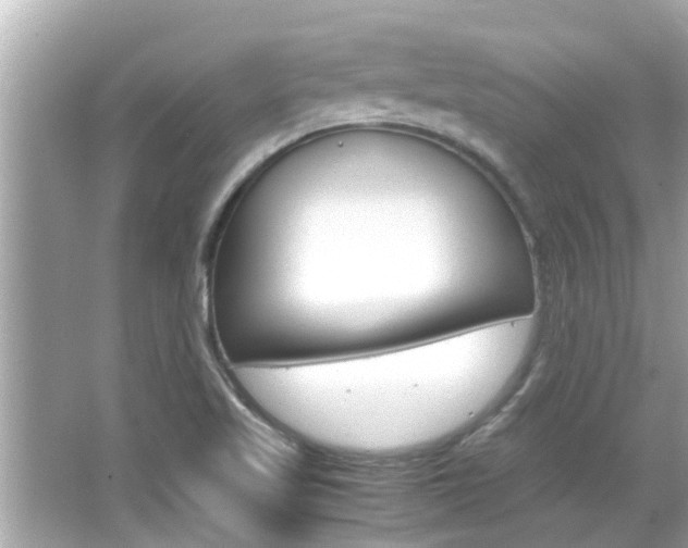 X0000066541509200603171042