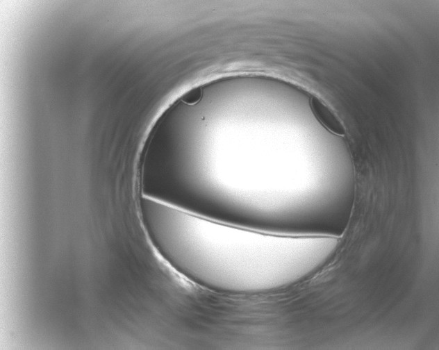 X0000066541527200603171042