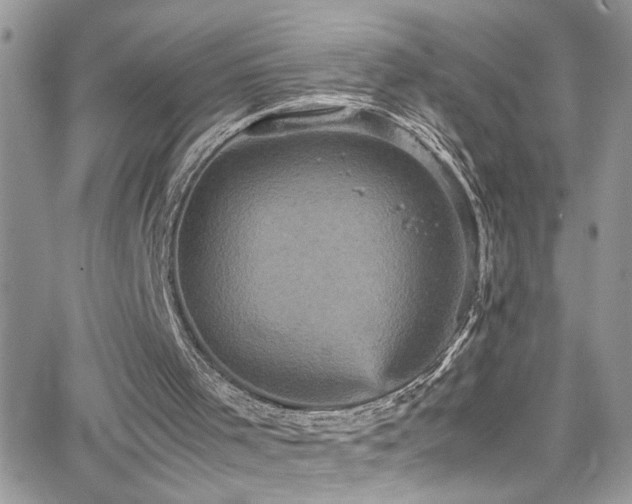 X0000066540001200603171252