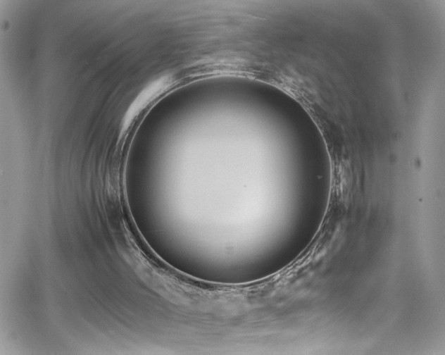 X0000066540004200603171252