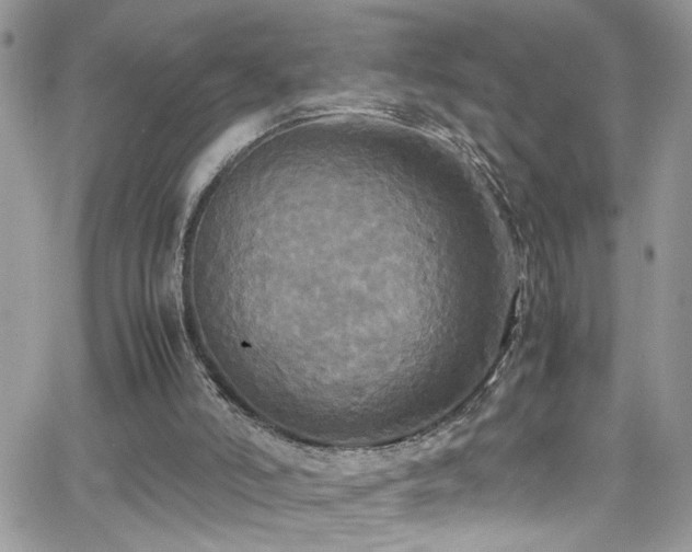 X0000066540006200603171252