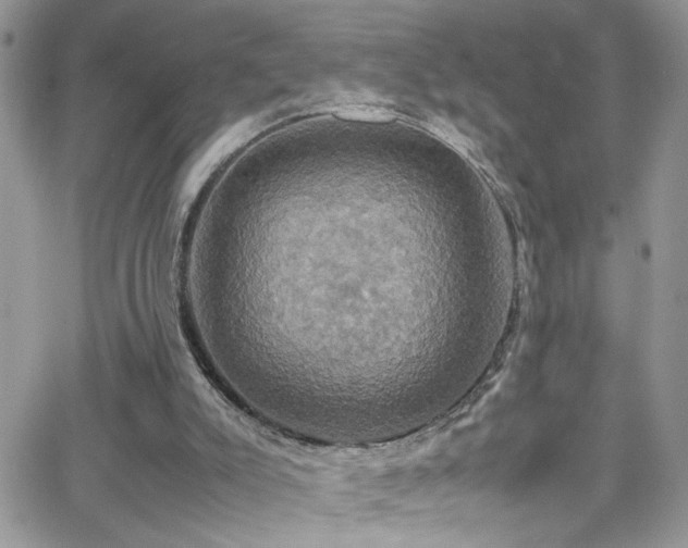 X0000066540007200603171252