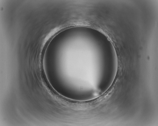 X0000066540008200603171252