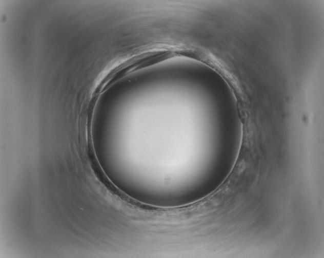 X0000066540011200603171252