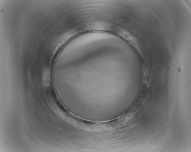 X0000066540012200603171252