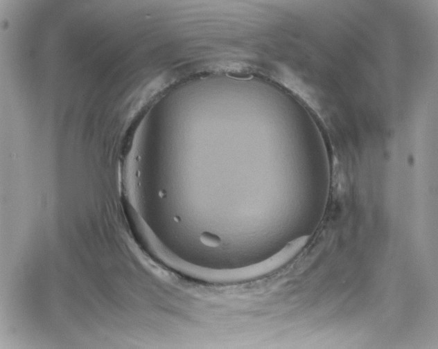 X0000066540013200603171252