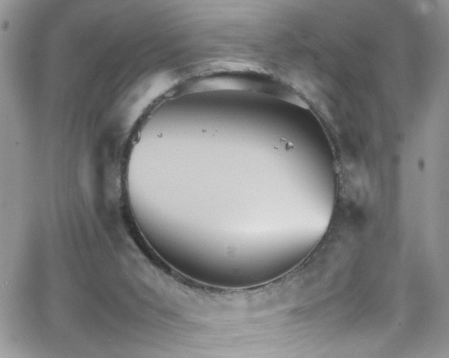 X0000066540015200603171252