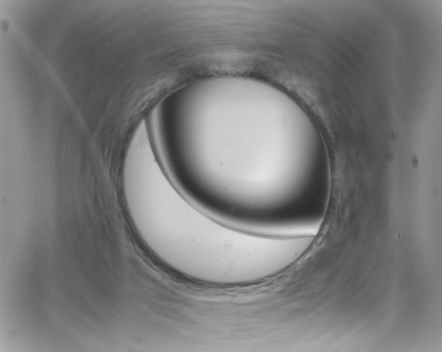 X0000066540017200603171252