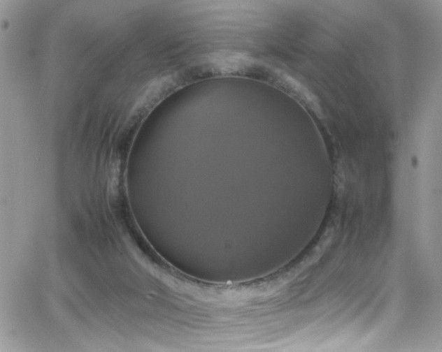 X0000066540018200603171252