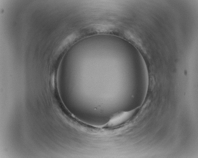 X0000066540019200603171252