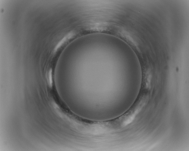 X0000066540020200603171252