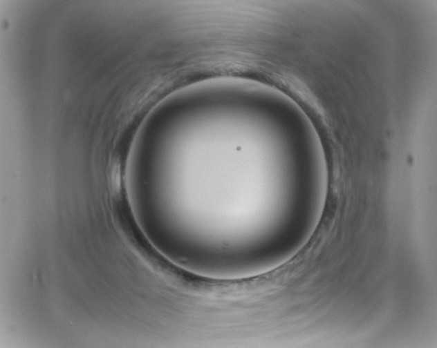 X0000066540021200603171252