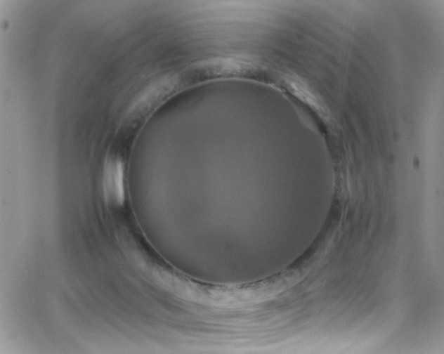 X0000066540022200603171252