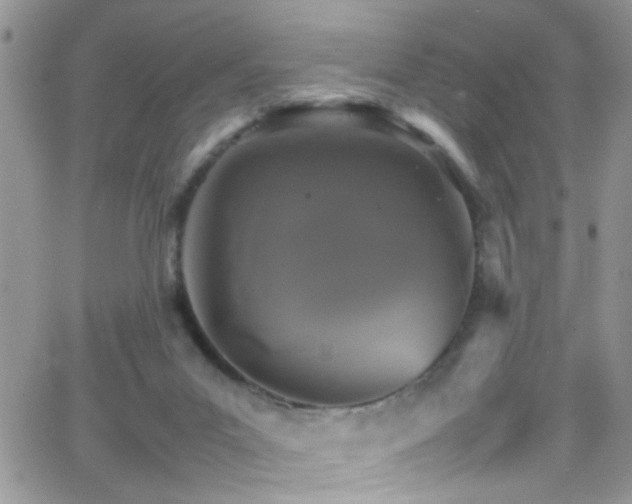 X0000066540023200603171252