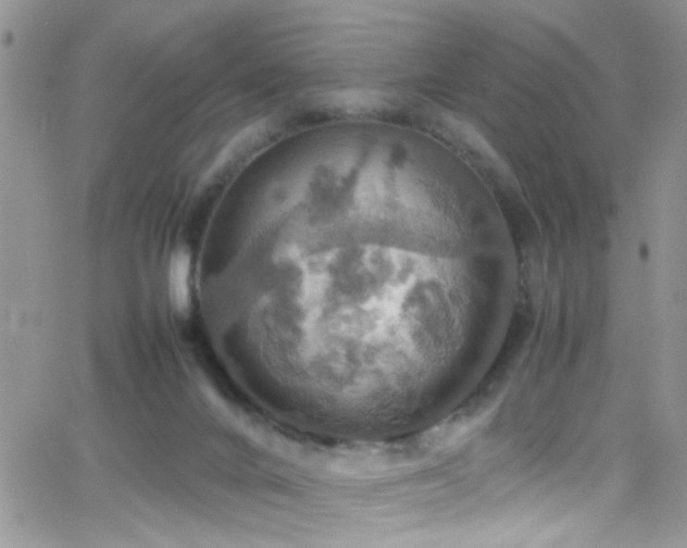 X0000066540024200603171252