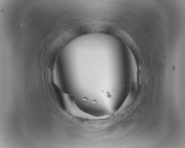 X0000066540025200603171252