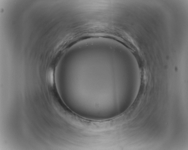 X0000066540027200603171252