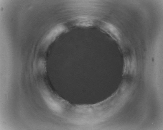 X0000066540029200603171252