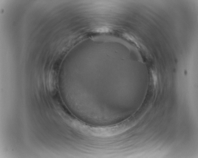 X0000066540030200603171252