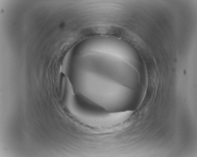 X0000066540031200603171252