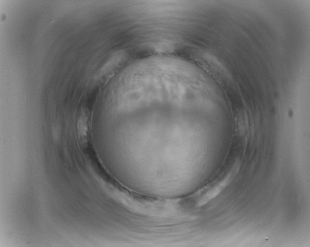 X0000066540032200603171252