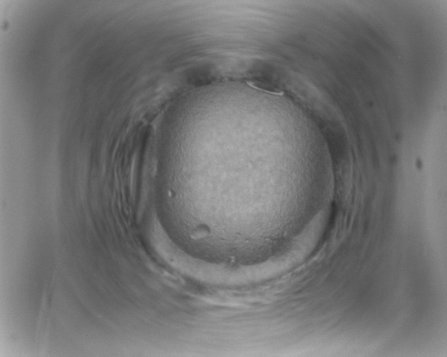 X0000066540033200603171252