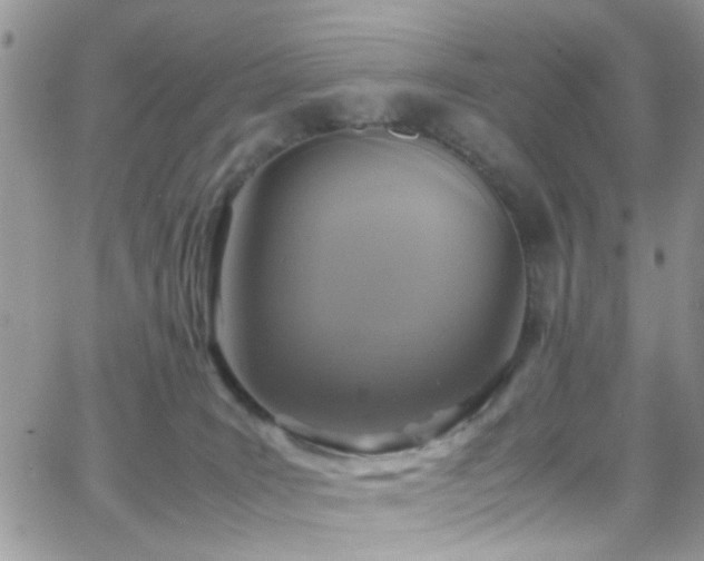 X0000066540035200603171252