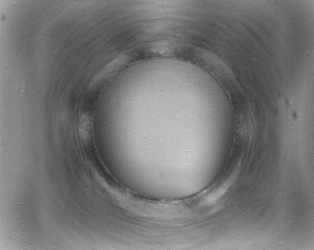 X0000066540036200603171252