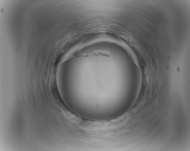 X0000066540037200603171252