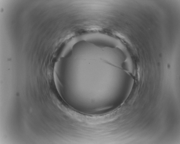 X0000066540039200603171252