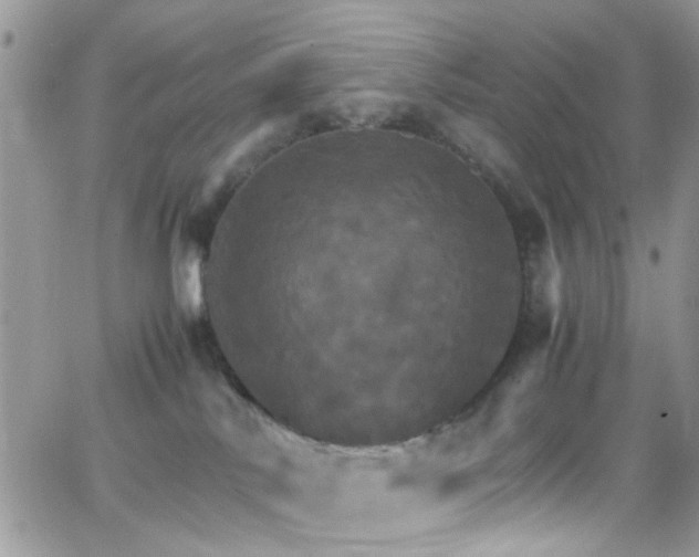 X0000066540042200603171252