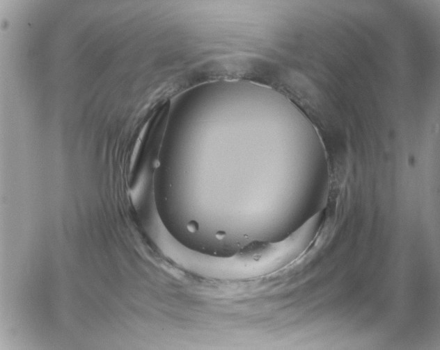 X0000066540045200603171251