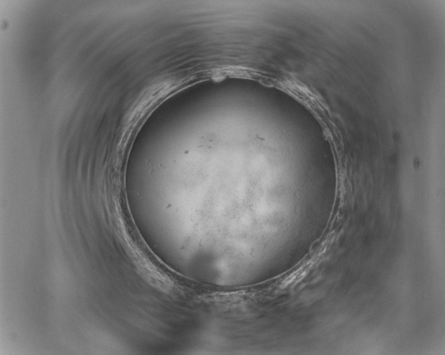 X0000066540049200603171251