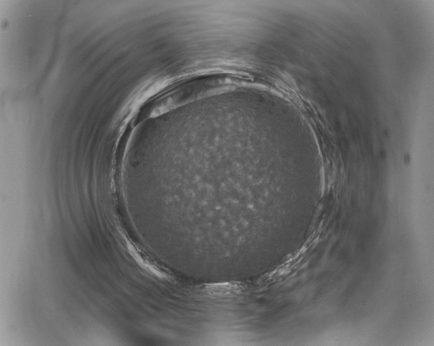 X0000066540050200603171251