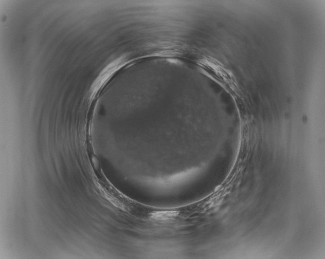 X0000066540051200603171251